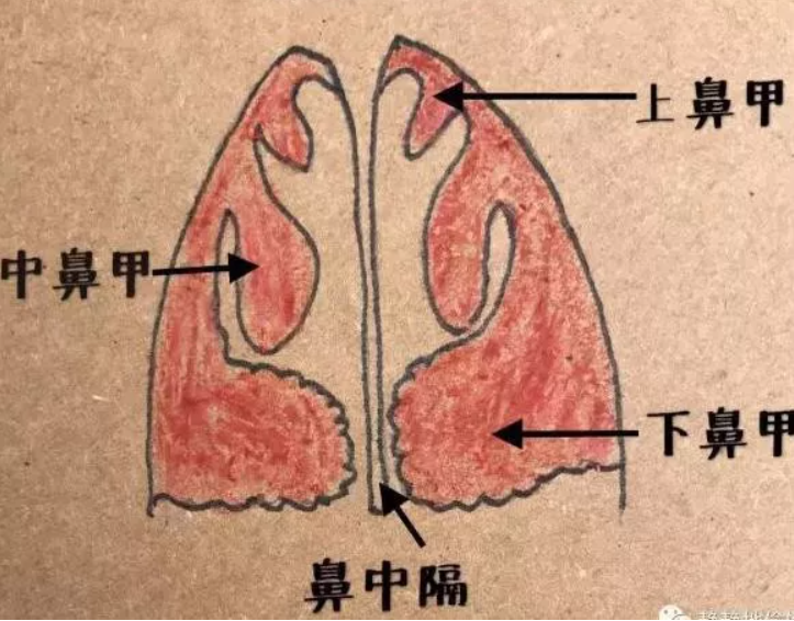 爱问健康